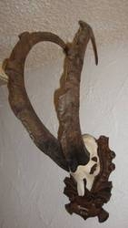 Imagen general del Pensión Der Steinbock - Das Bauernhaus. Foto 37