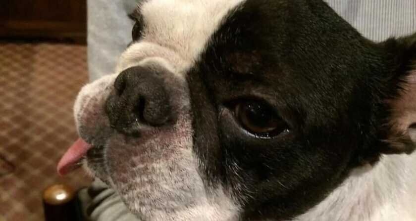 Imagen general del Pensión Donaludo. Foto 3