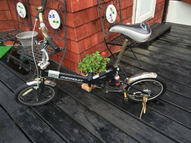 Imagen general del Pensión Donaludo. Foto 9