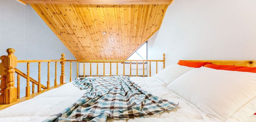 Imagen de la habitación del Pensión Dorothy's Forest. Foto 19