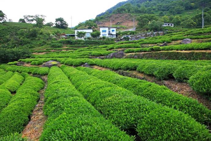 Imagen general del Pensión Emotion. Foto 1