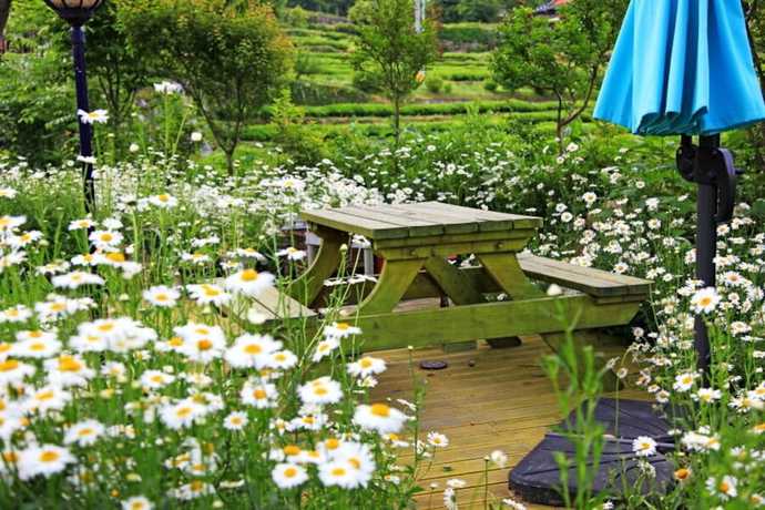 Imagen de los exteriores del Pensión Emotion. Foto 15