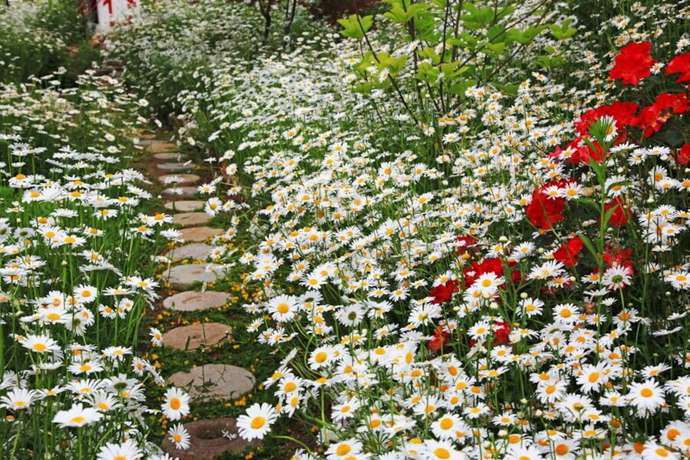 Imagen de los exteriores del Pensión Emotion. Foto 16