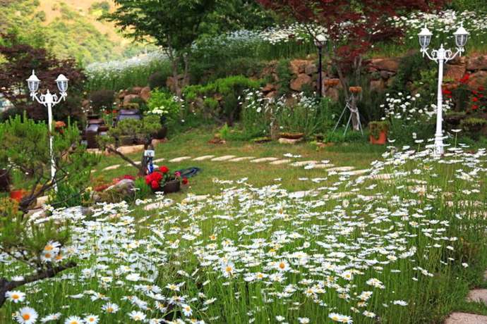 Imagen de los exteriores del Pensión Emotion. Foto 17