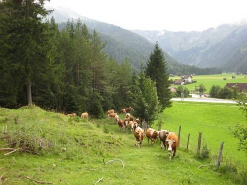 Imagen general del Pensión Englhof. Foto 8