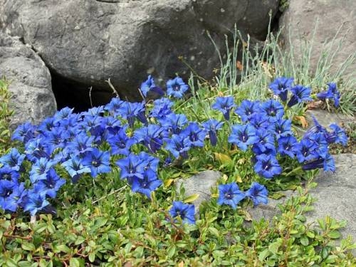 Imagen general del Pensión Englhof. Foto 10