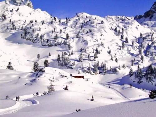 Imagen general del Pensión Englhof. Foto 11