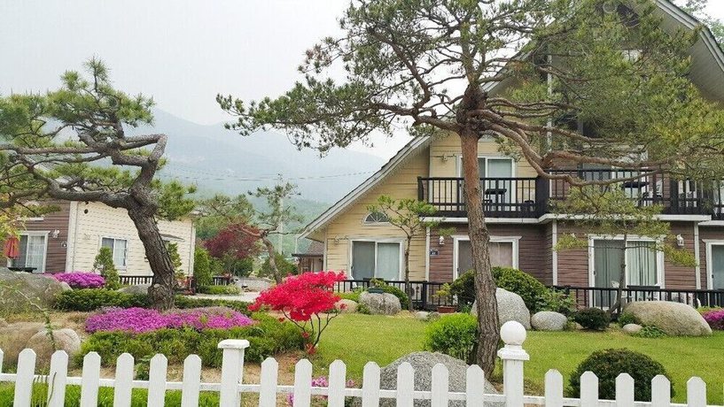 Imagen general del Pensión Forest, Pocheon. Foto 1