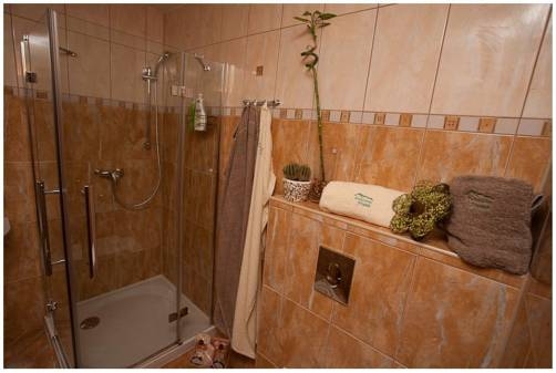 Imagen general del Pensión Frank, Smrecany. Foto 4