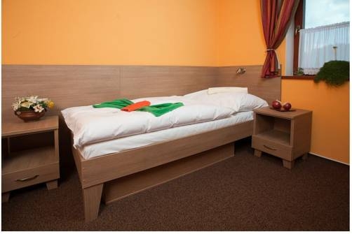 Imagen general del Pensión Frank, Smrecany. Foto 5