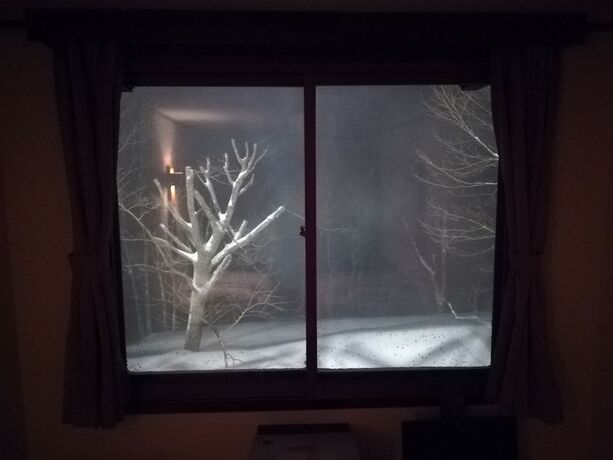 Imagen general del Pensión Fujio Madarao. Foto 11