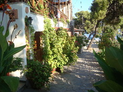 Imagen de la habitación del Pensión Galazios Kolpos. Foto 7