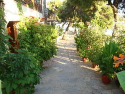 Imagen de la habitación del Pensión Galazios Kolpos. Foto 12