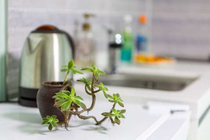 Imagen de la habitación del Pensión Ganiyeok Pension. Foto 8