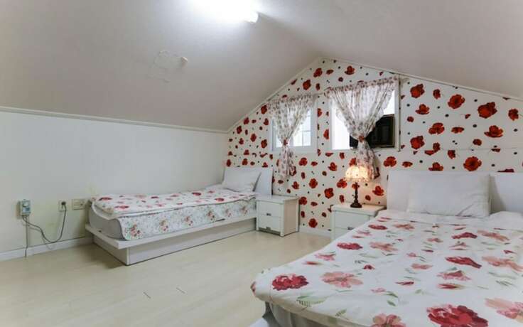 Imagen general del Pensión Gapyeong Garang Pension. Foto 4