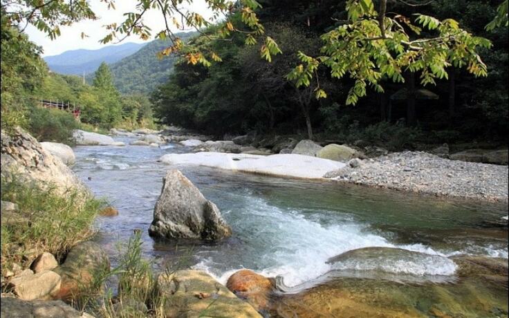 Imagen general del Pensión Gapyeong Purun Valley Pension. Foto 5