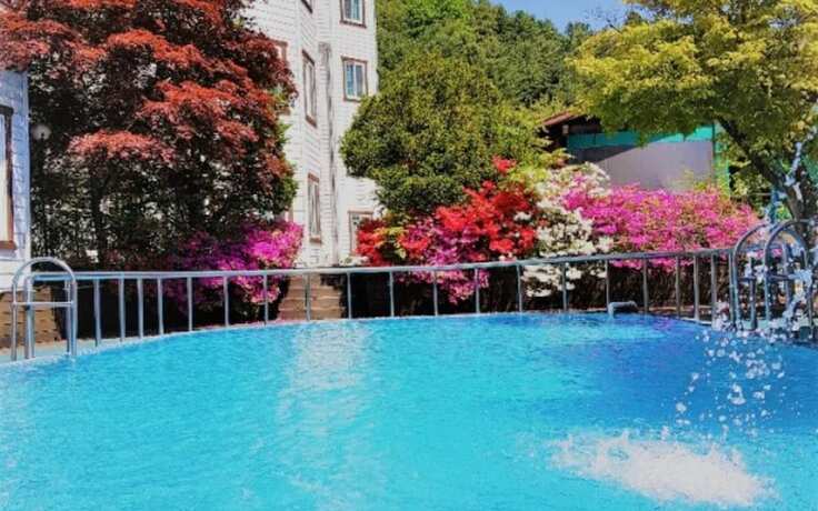 Imagen general del Pensión Gapyeong Sky Pension. Foto 10