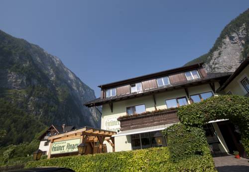 Imagen de la habitación del Pensión Gasthof Gr&uuml;ner Anger. Foto 2