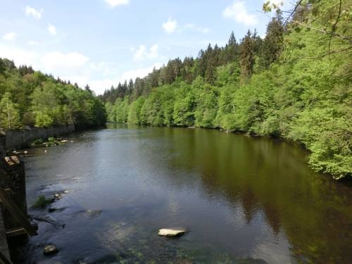 Imagen general del Pensión Gasthof Zur Triftsperre. Foto 1