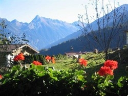 Imagen general del Pensión Glockenstuhl. Foto 5