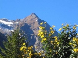 Imagen general del Pensión Glockenstuhl. Foto 6