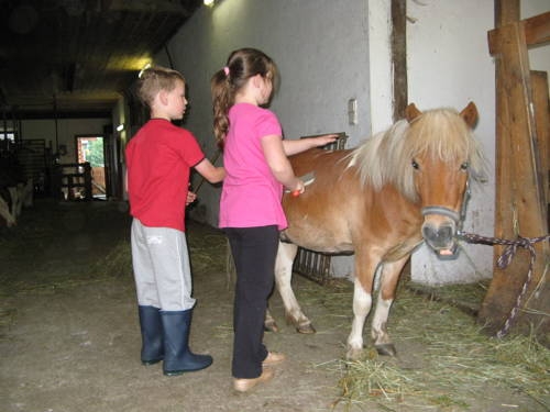 Imagen general del Pensión Grafengut. Foto 7