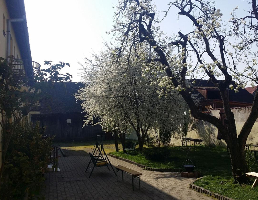 Imagen general del Pensión Greenhouse, Sibiu. Foto 22