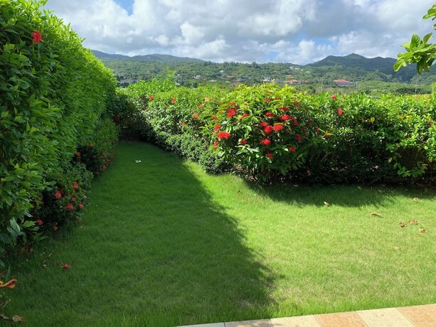 Imagen general del Pensión Gusuku. Foto 5