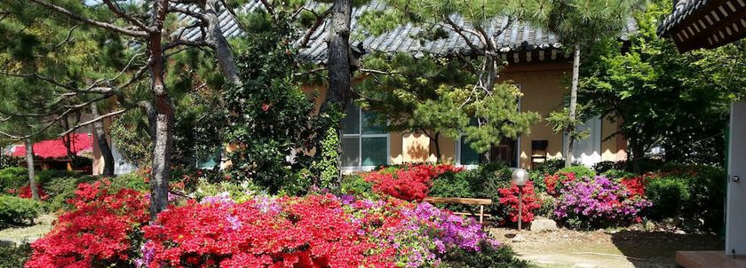 Imagen general del Pensión Gyeongju Kb Pension. Foto 1