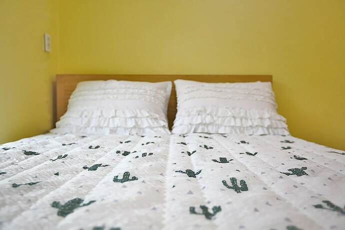 Imagen general del Pensión Haena. Foto 7