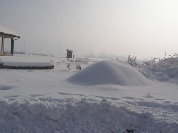Imagen de los exteriores del Pensión Harmonia, Miercurea-Ciuc. Foto 10