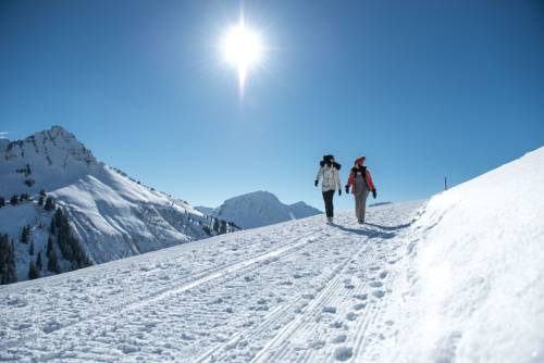 Imagen de la habitación del Pensión Hertehof. Foto 11