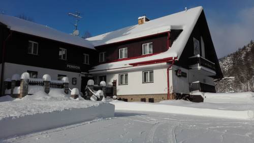 Imagen de la habitación del Pensión Horsk&yacute; Gendorf. Foto 2