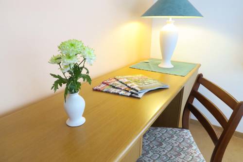 Imagen de la habitación del Pensión Horsk&yacute; Gendorf. Foto 13