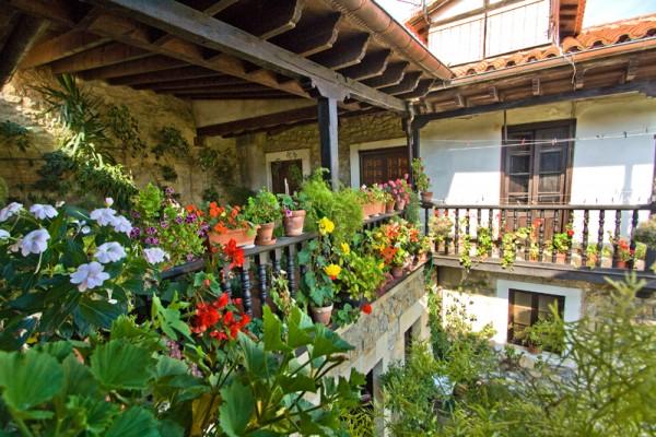 Imagen general del Pensión Hospedaje Casa Octavio. Foto 6