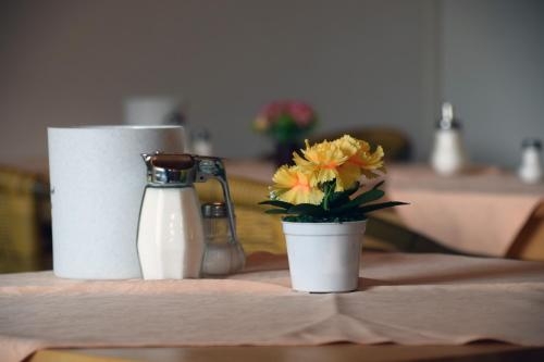 Imagen general del Pensión Hotel Am See. Foto 3