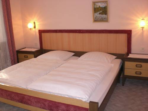 Imagen de la habitación del Pensión Hotel Bl&uuml;chersruh, Bad Berneck. Foto 10