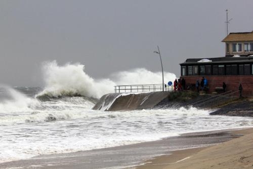 Imagen general del Pensión Hotel Loose. Foto 5