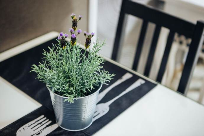 Imagen de la habitación del Pensión Indigo. Foto 8