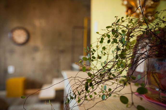 Imagen de la habitación del Pensión Innude Pension. Foto 6