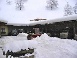 Imagen general del Pensión Jagdhof. Foto 7