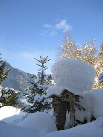 Imagen general del Pensión Jagdhof, Sankt Johann im Pongau. Foto 21