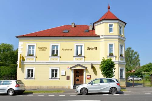 Imagen de la habitación del Pensión Josef, Frantiskovy Lazne. Foto 2