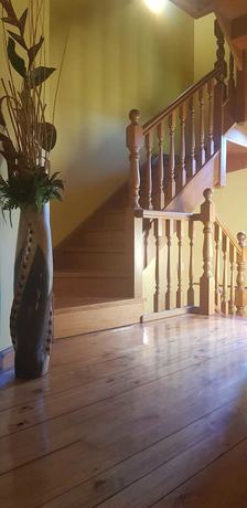 Imagen de los interiores del Pensión Kabana. Foto 14