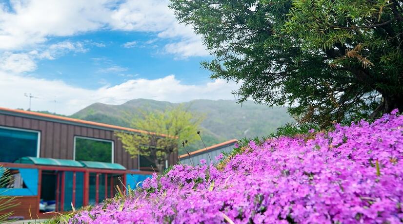 Imagen general del Pensión Kkoristar Pool and Spa Pension. Foto 5