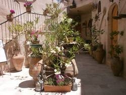 Imagen general del Pensión Kookaburra. Foto 22