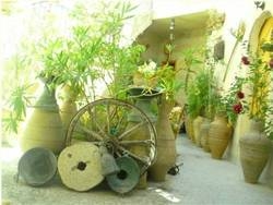 Imagen general del Pensión Kookaburra. Foto 45