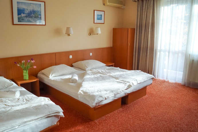 Imagen de la habitación del Pensión Korona Hotel Panzio. Foto 7