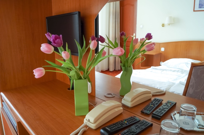 Imagen de la habitación del Pensión Korona Hotel Panzio. Foto 14