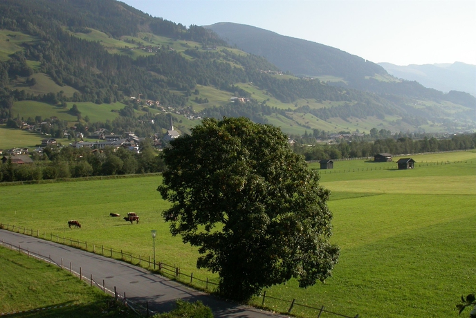 Imagen de los exteriores del Pensión Kristall, BRAMBERG AM WILDKOGEL. Foto 4